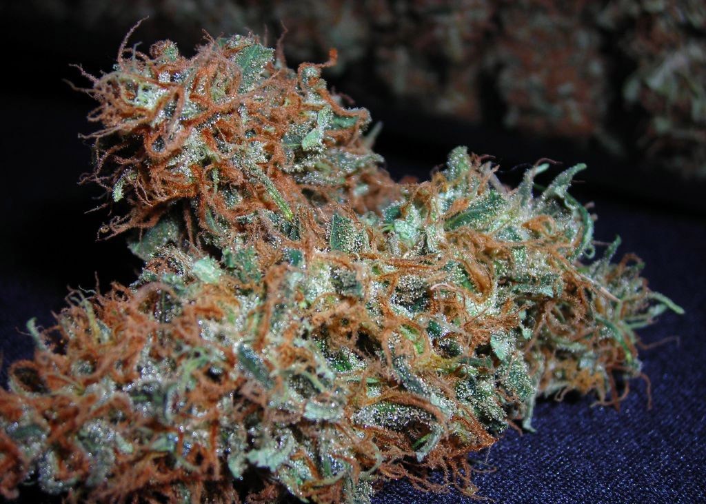 white-widow